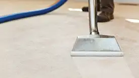 Carpet cleaning wand head gliding over a light carpet during hot-water extraction, Las Vegas, NV.